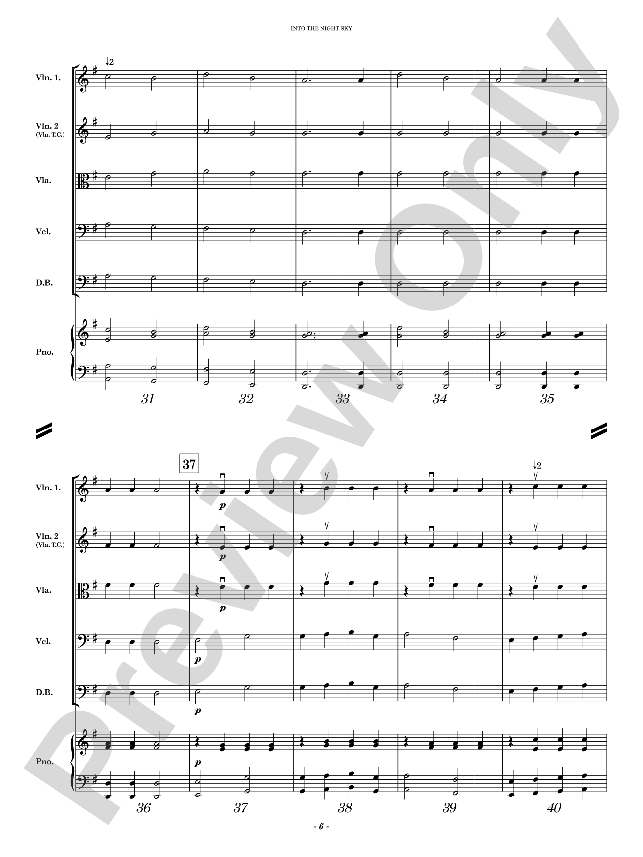 Into the Night Sky: String Orchestra Conductor Score & Parts