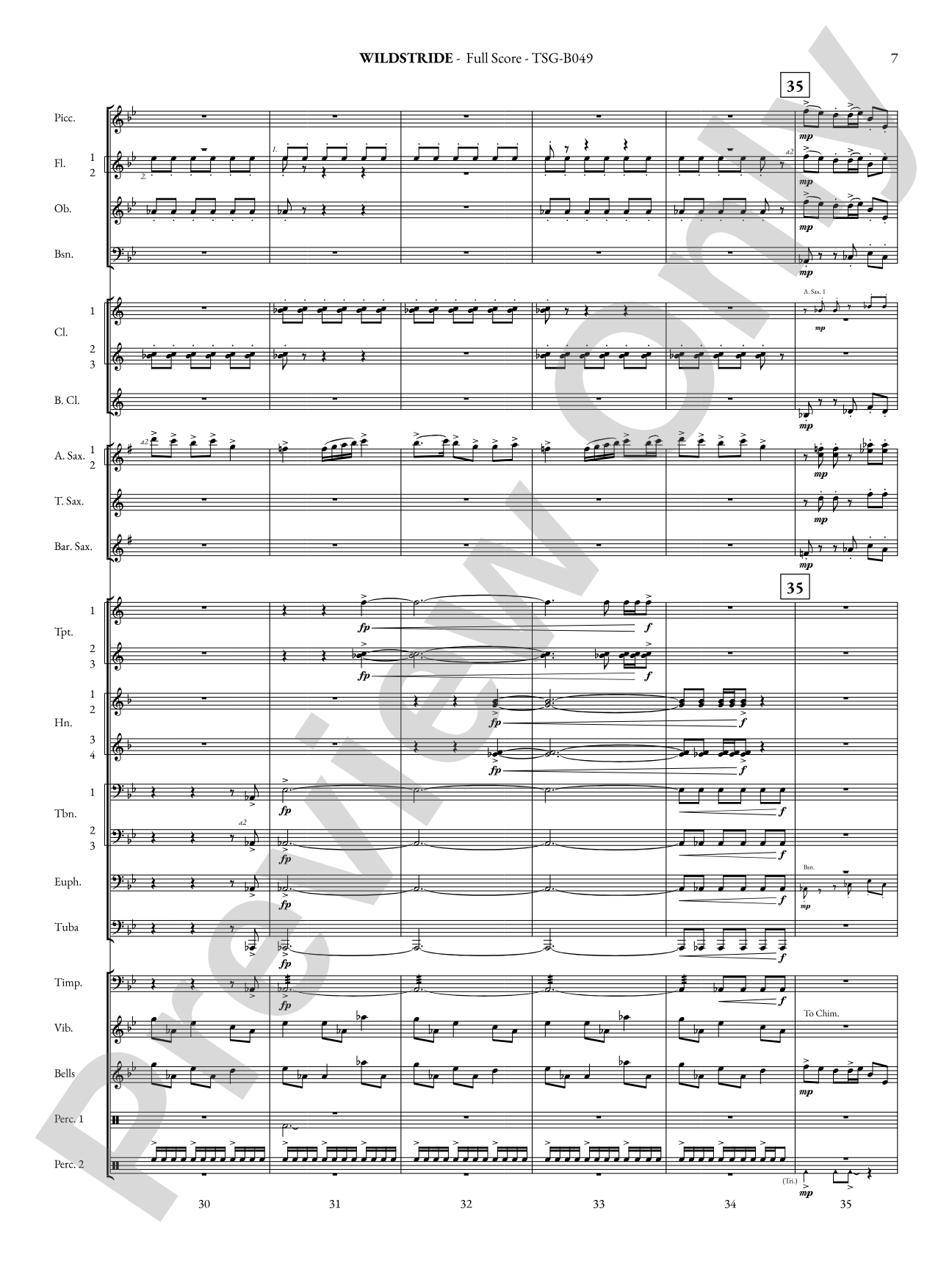 Wildstride: Concert Band Conductor Score & Parts