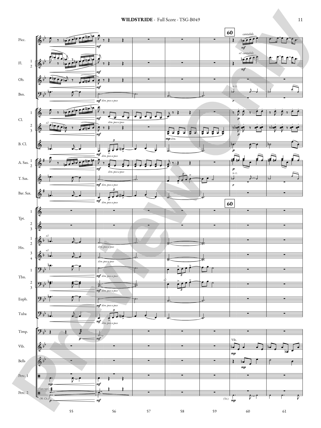 Wildstride: Concert Band Conductor Score & Parts