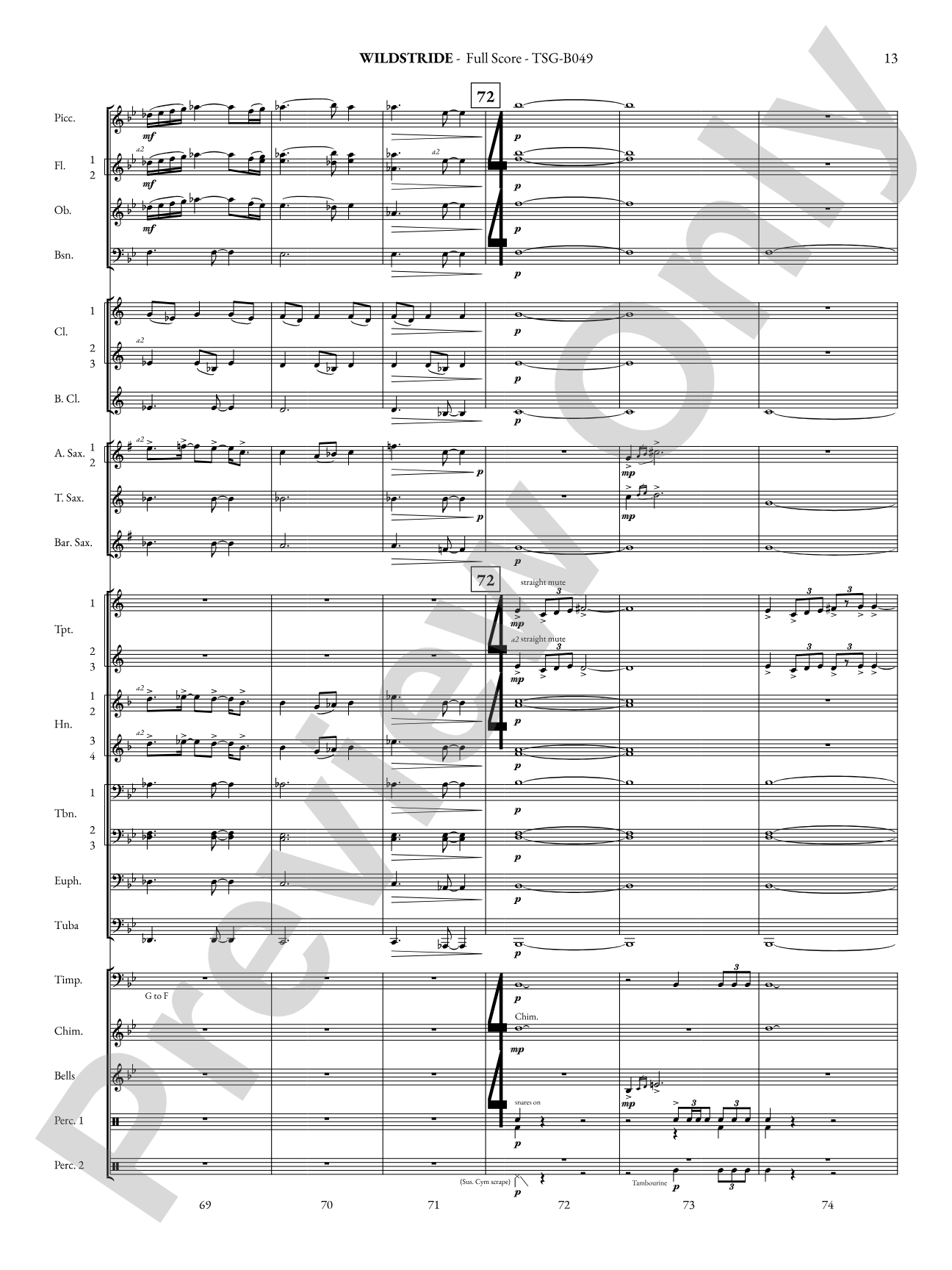 Wildstride: Concert Band Conductor Score & Parts