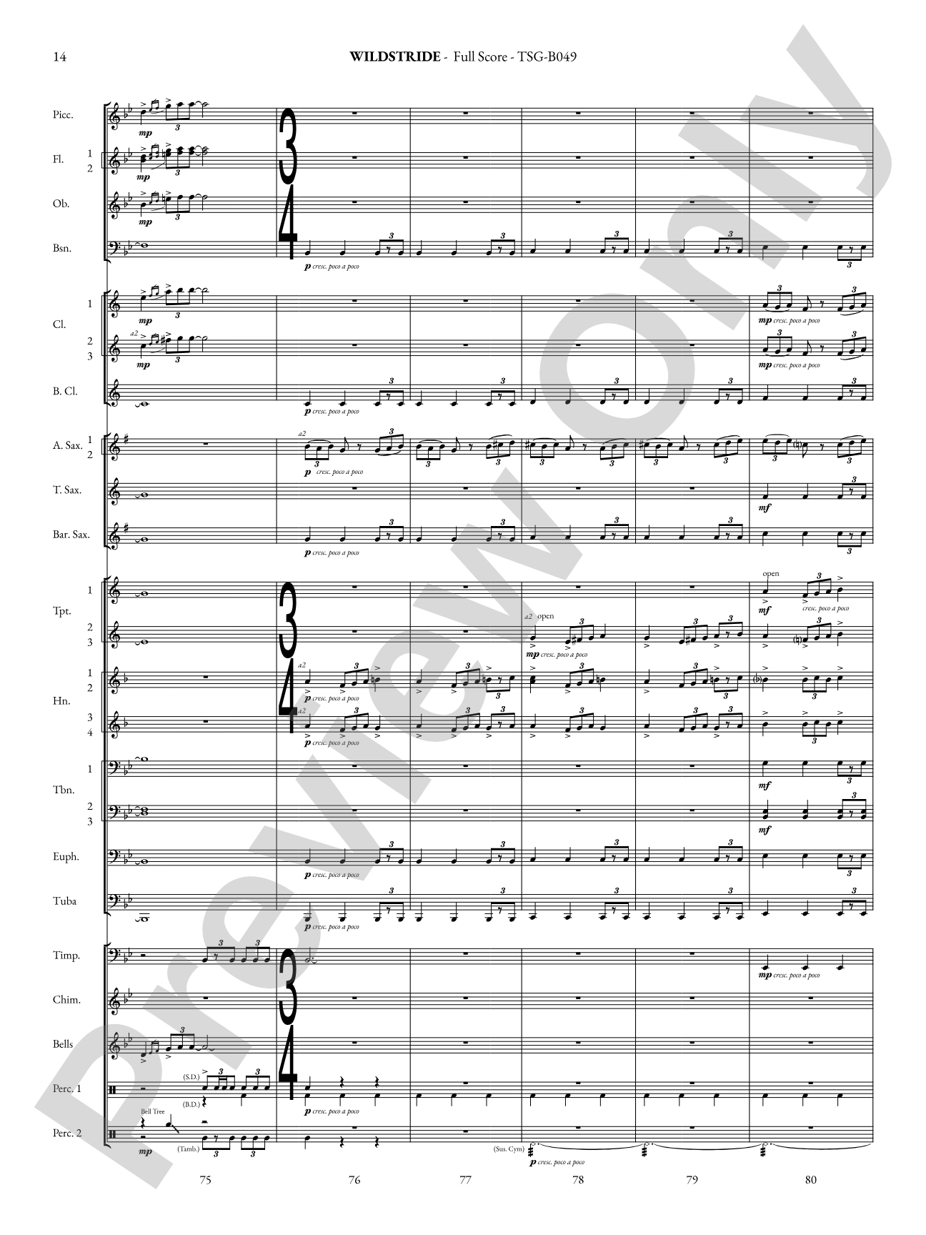 Wildstride: Concert Band Conductor Score & Parts