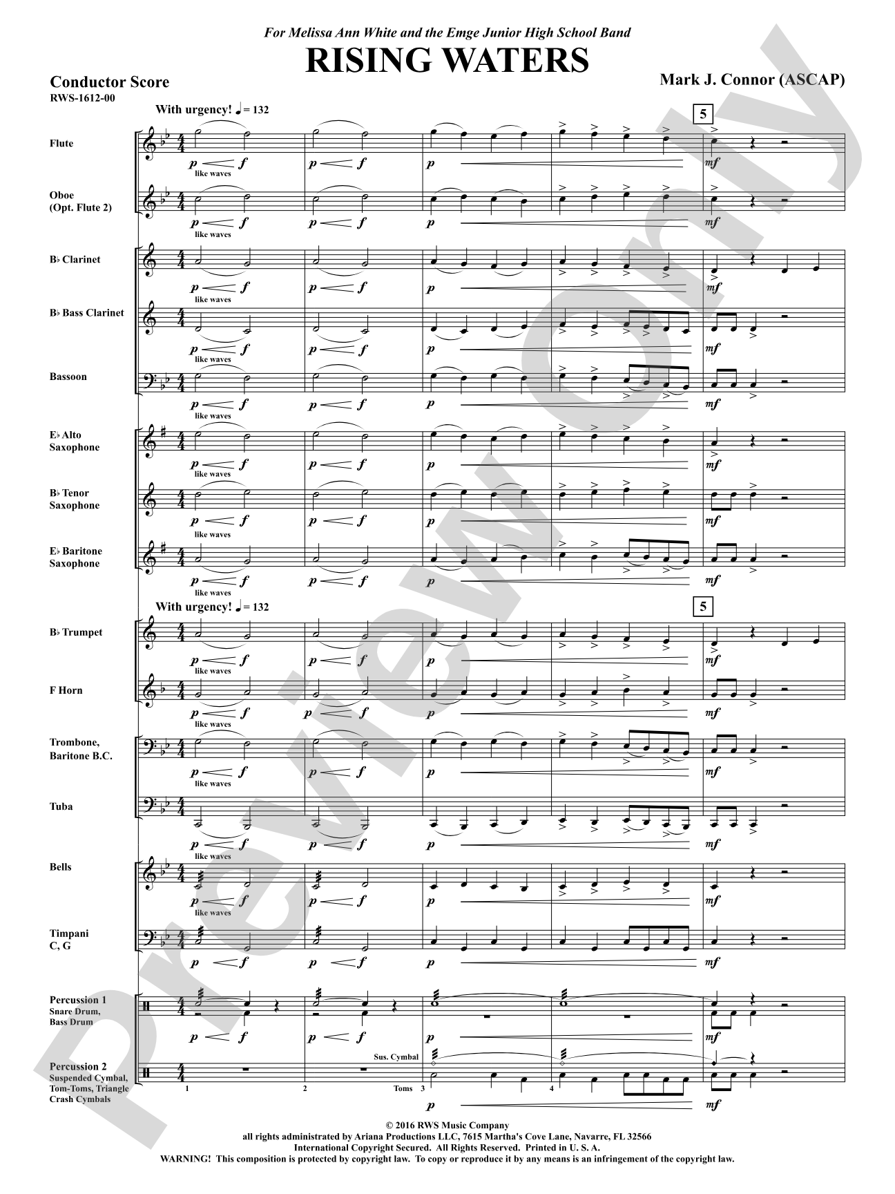 Rising Waters: Concert Band Conductor Score & Parts