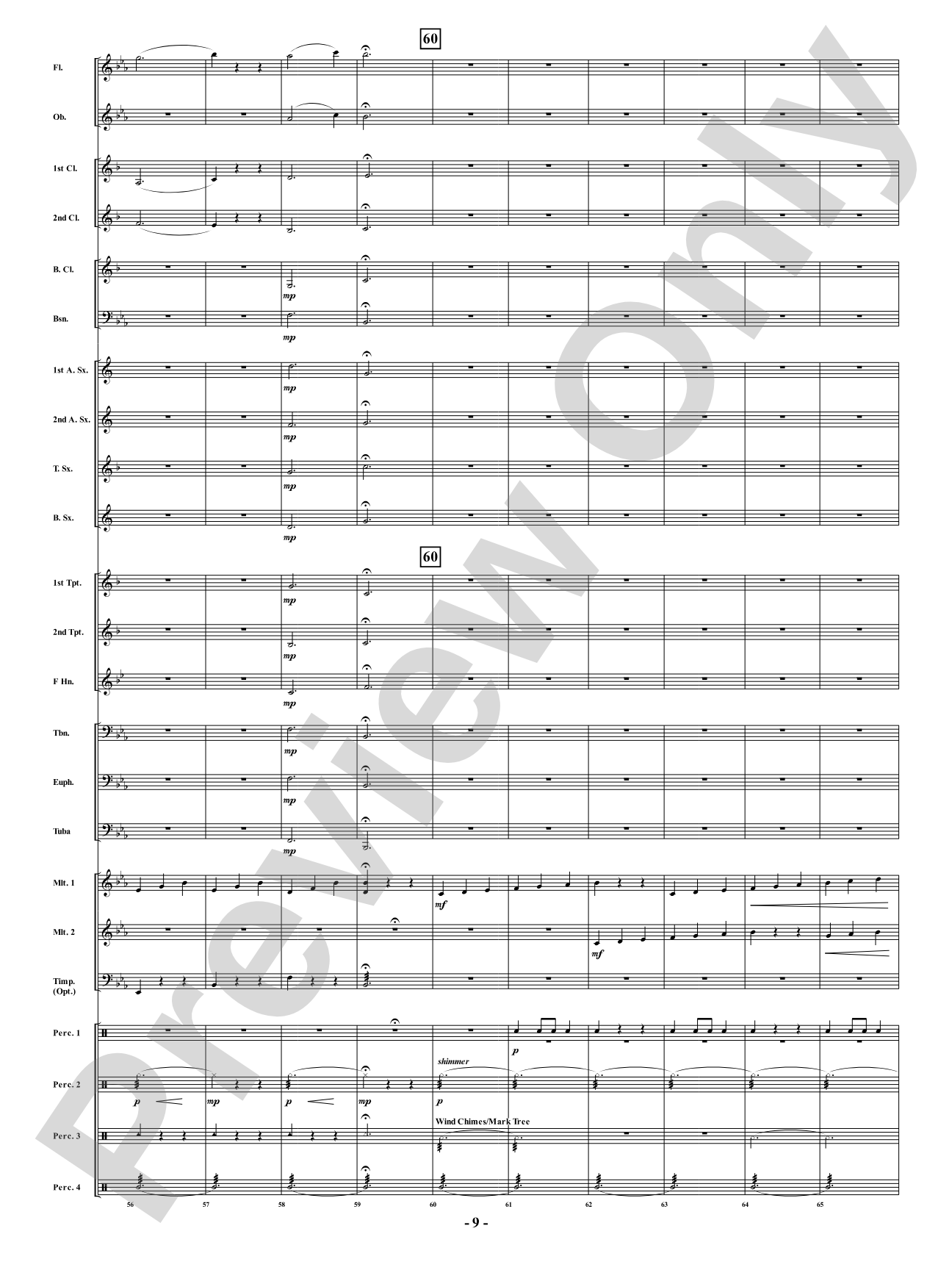 Mama Sea Turtle - From <i>Water Tales: A Suite for Band</i>: Concert Band Conductor Score & Parts