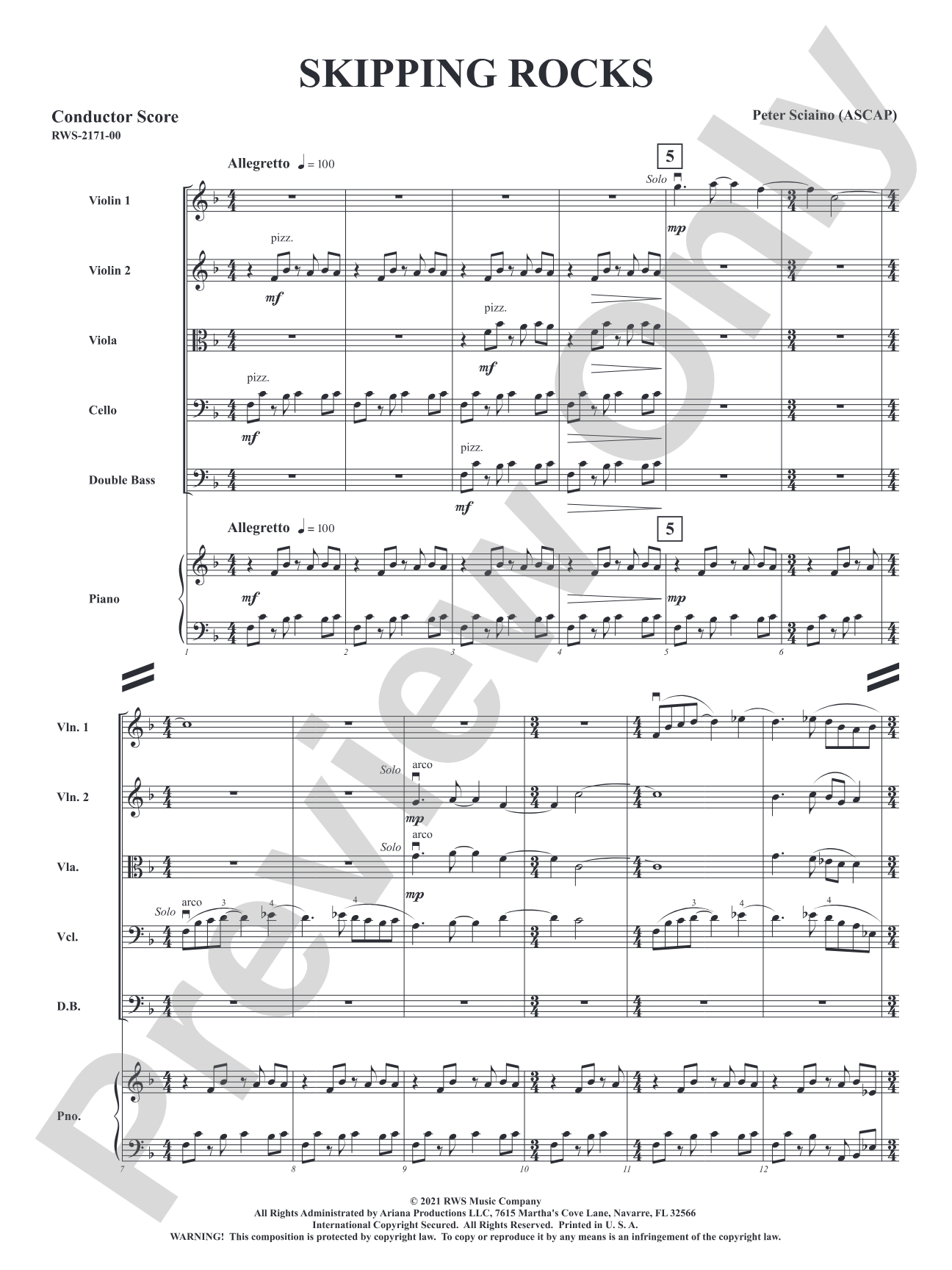 Skipping Rocks: String Orchestra Conductor Score & Parts