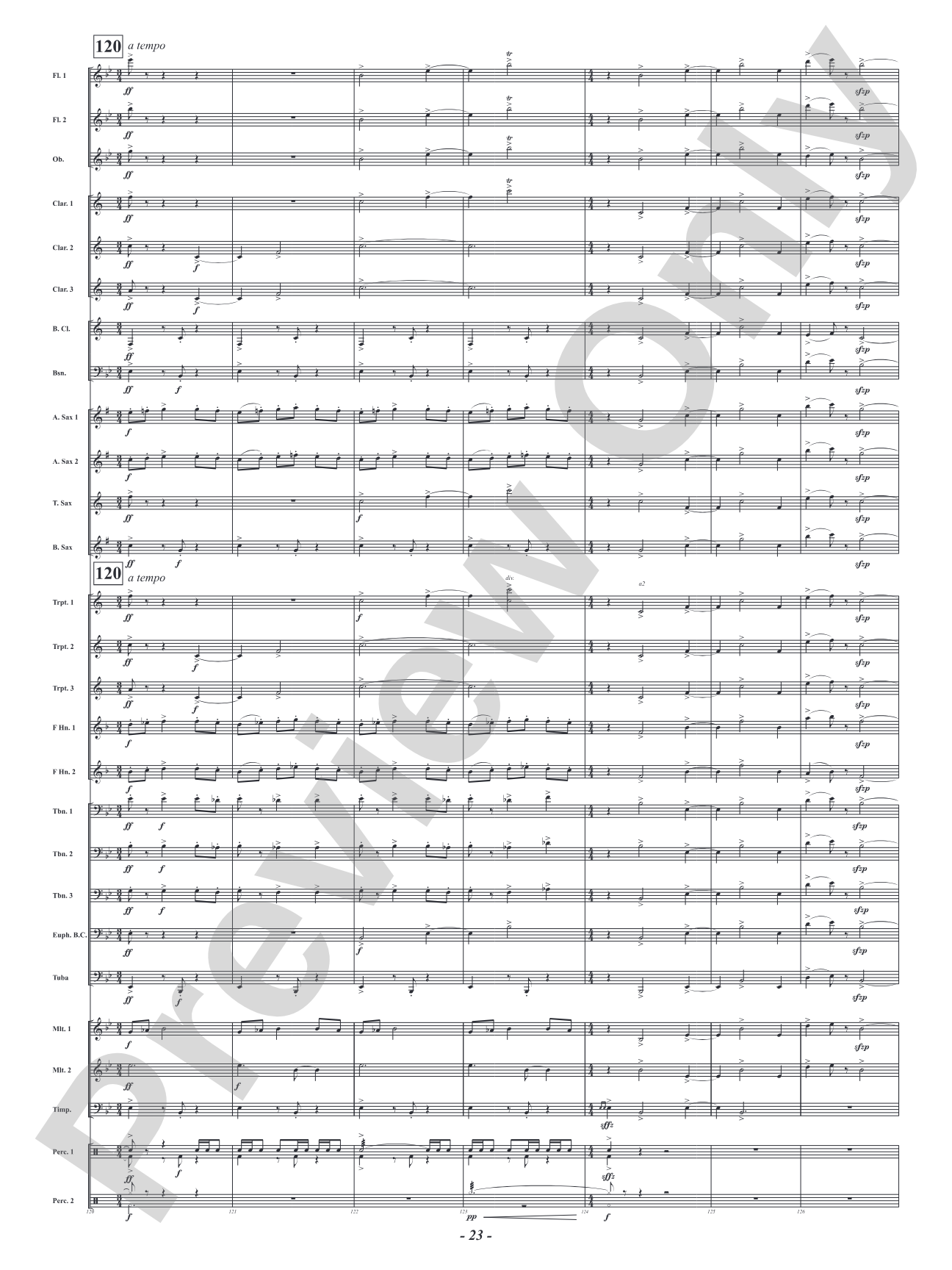 Soaring Over High and Low Country - Camden Celebration: Concert Band Conductor Score & Parts