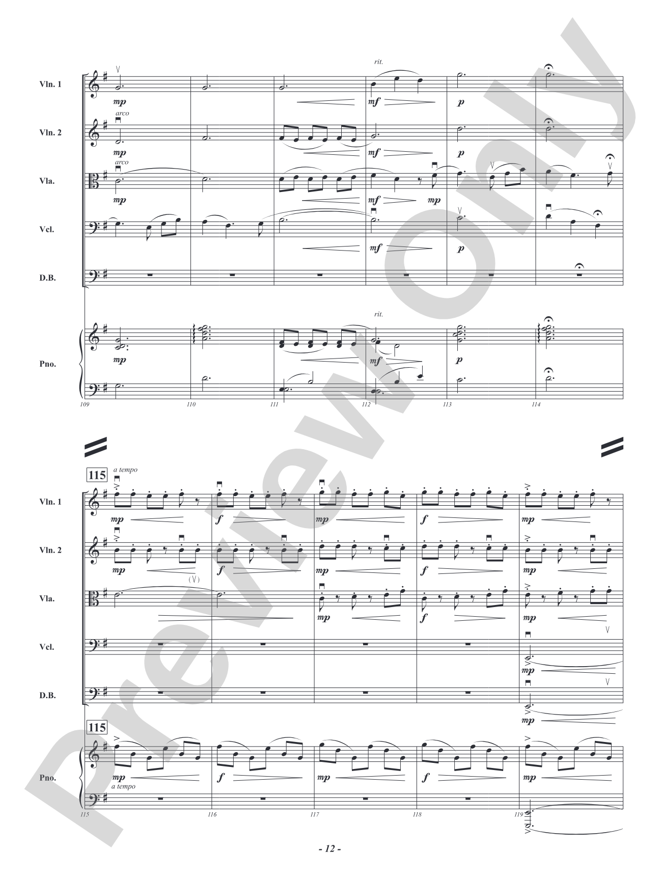 Storm Flight: String Orchestra Conductor Score & Parts