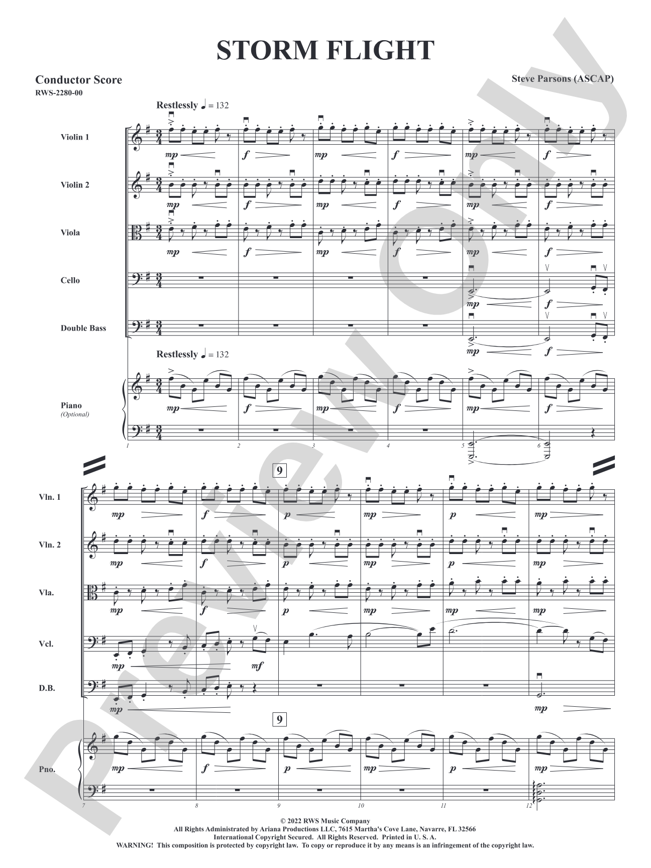 Storm Flight: String Orchestra Conductor Score & Parts