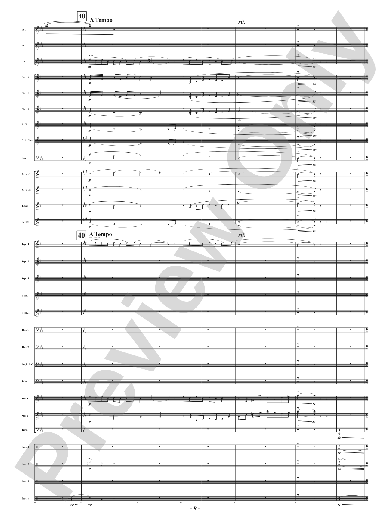 And Her Light Shines: Concert Band Conductor Score & Parts