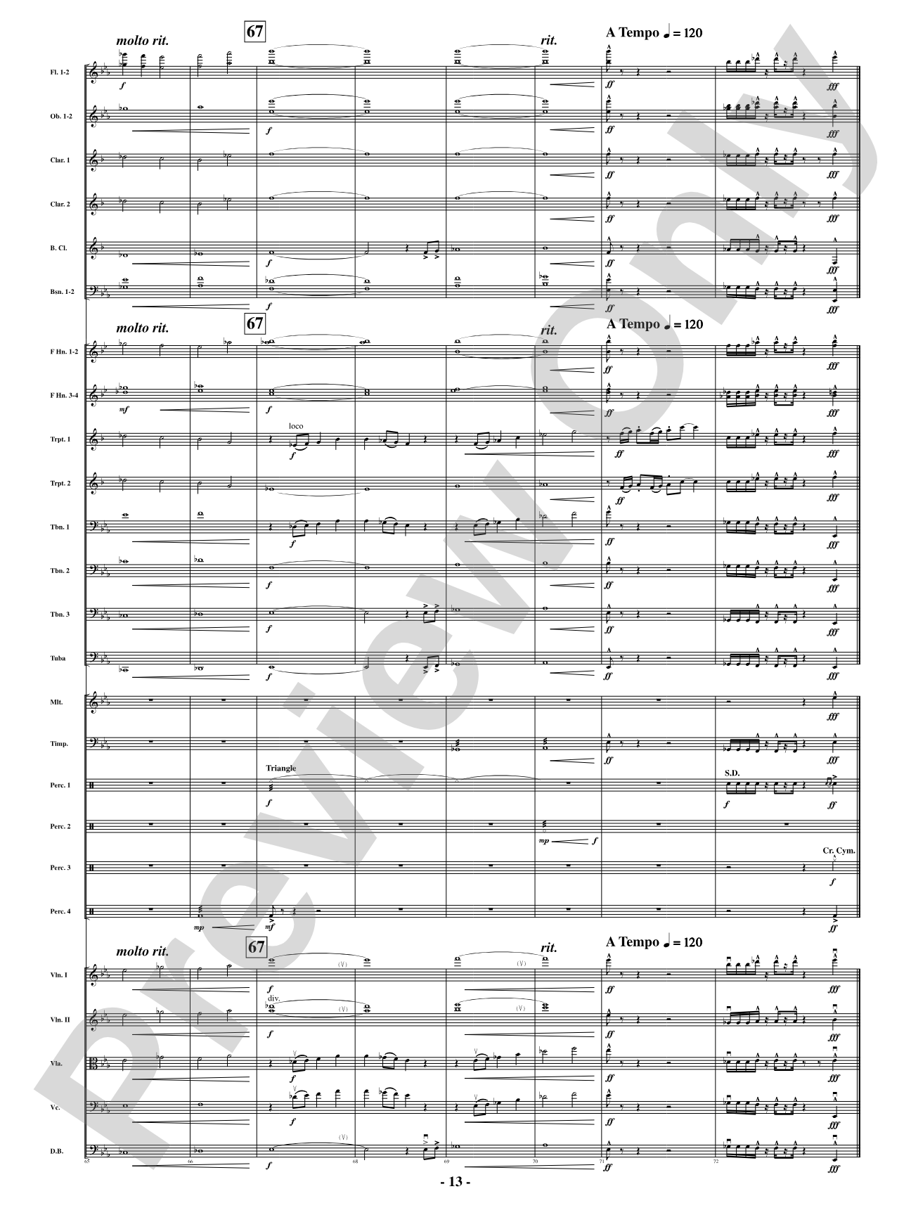 Southbound Rider: Full Orchestra Conductor Score & Parts