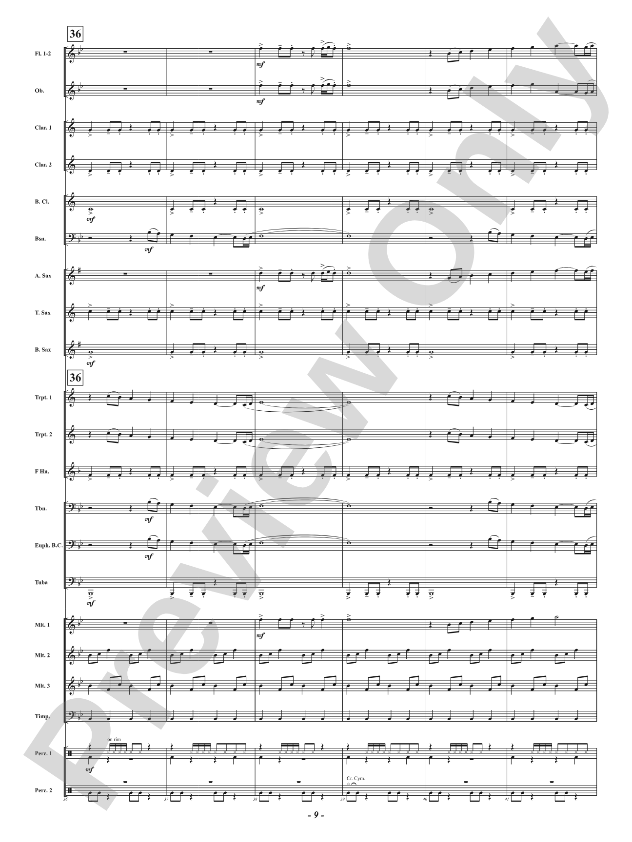 Stronger Together: Concert Band Conductor Score & Parts