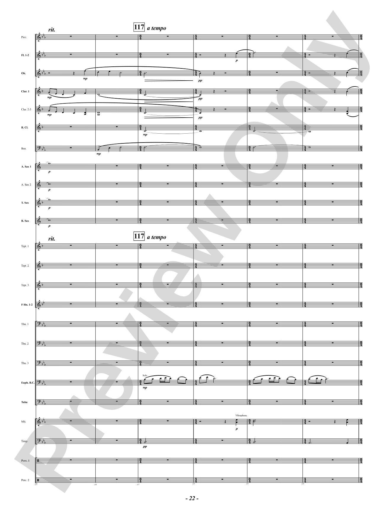 Sound Paints the Sky: Concert Band Conductor Score & Parts