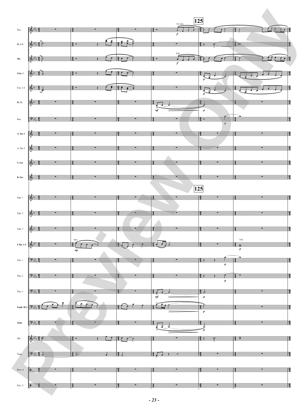 Sound Paints the Sky: Concert Band Conductor Score & Parts