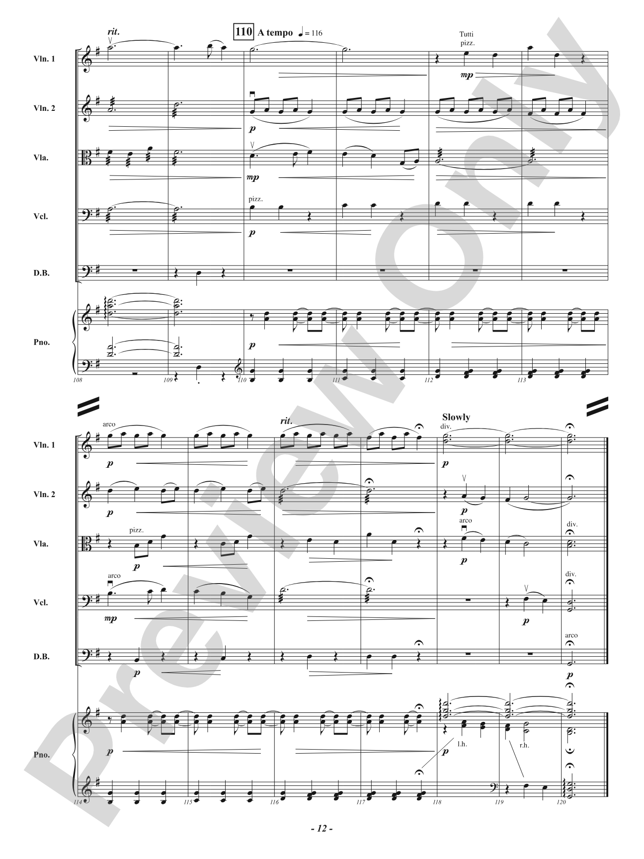 Infinite Ripples: String Orchestra Conductor Score & Parts