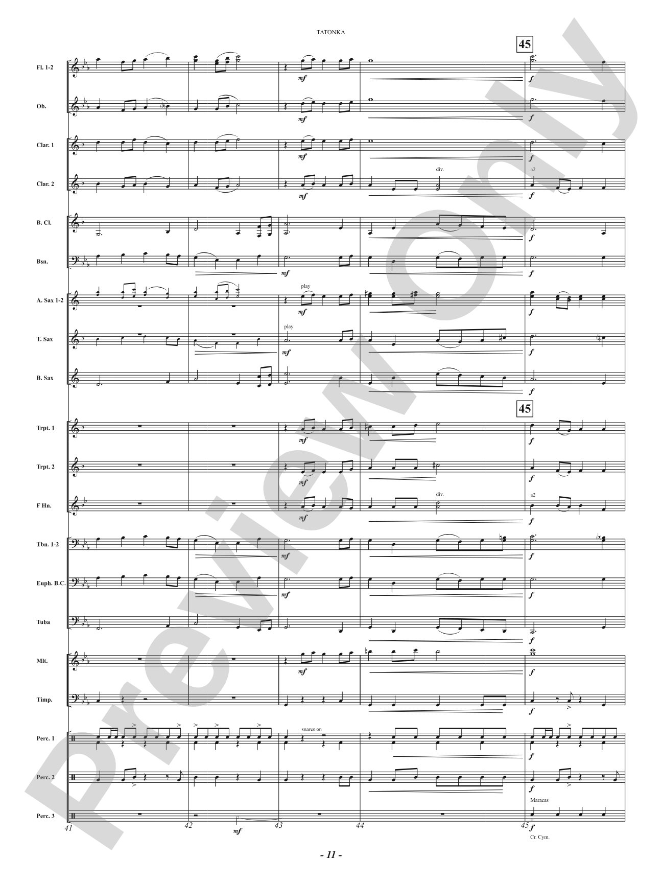 Tatonka (Spirit of the Bison): Concert Band Conductor Score & Parts