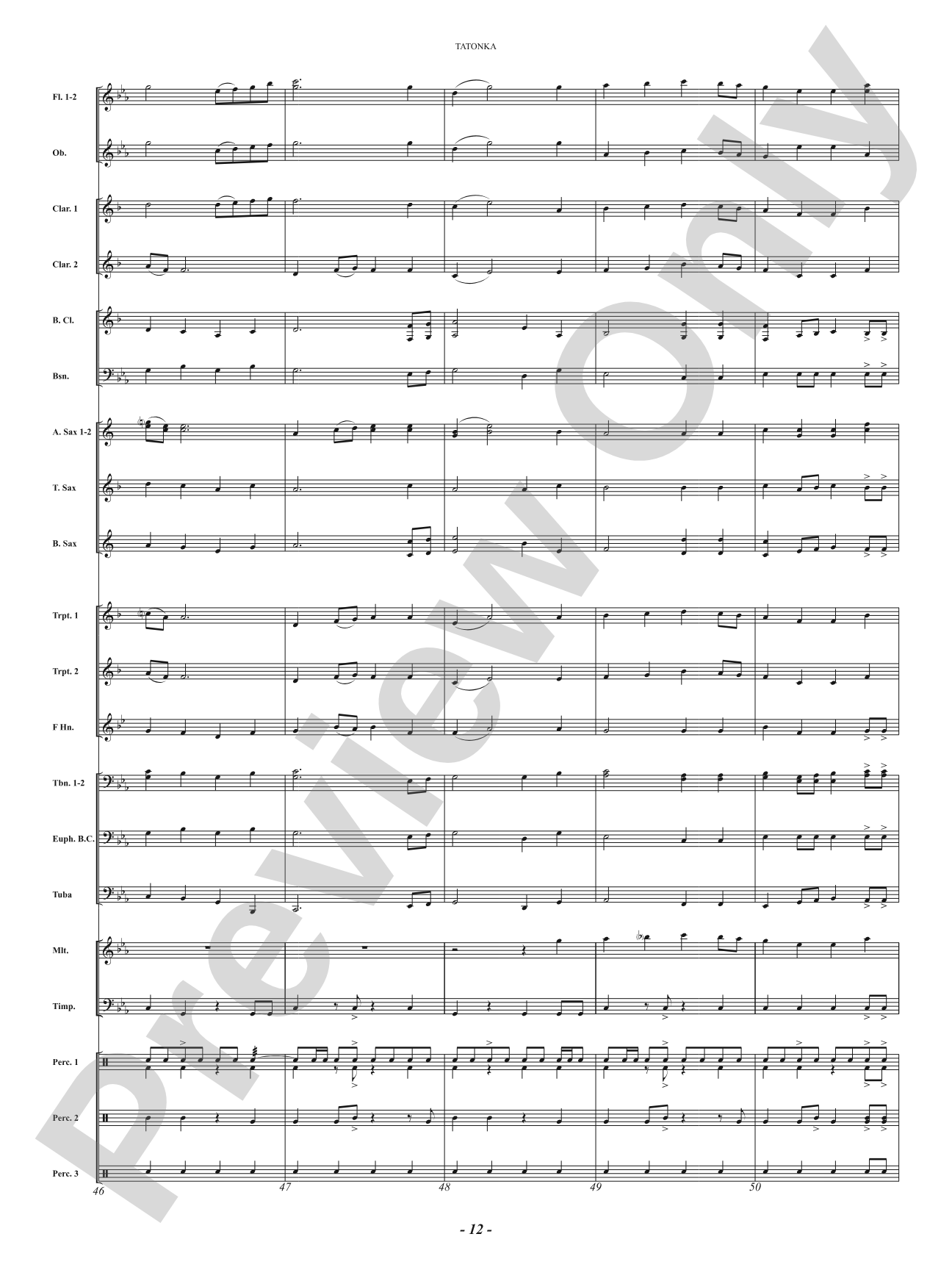 Tatonka (Spirit of the Bison): Concert Band Conductor Score & Parts