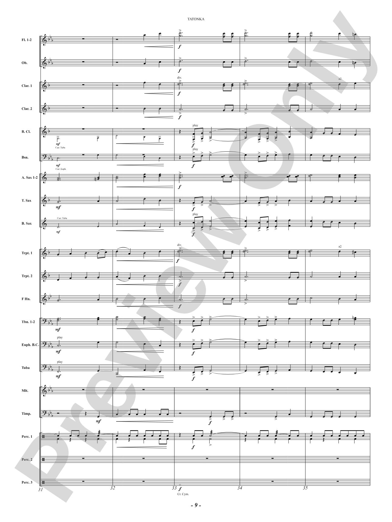 Tatonka (Spirit of the Bison): Concert Band Conductor Score & Parts