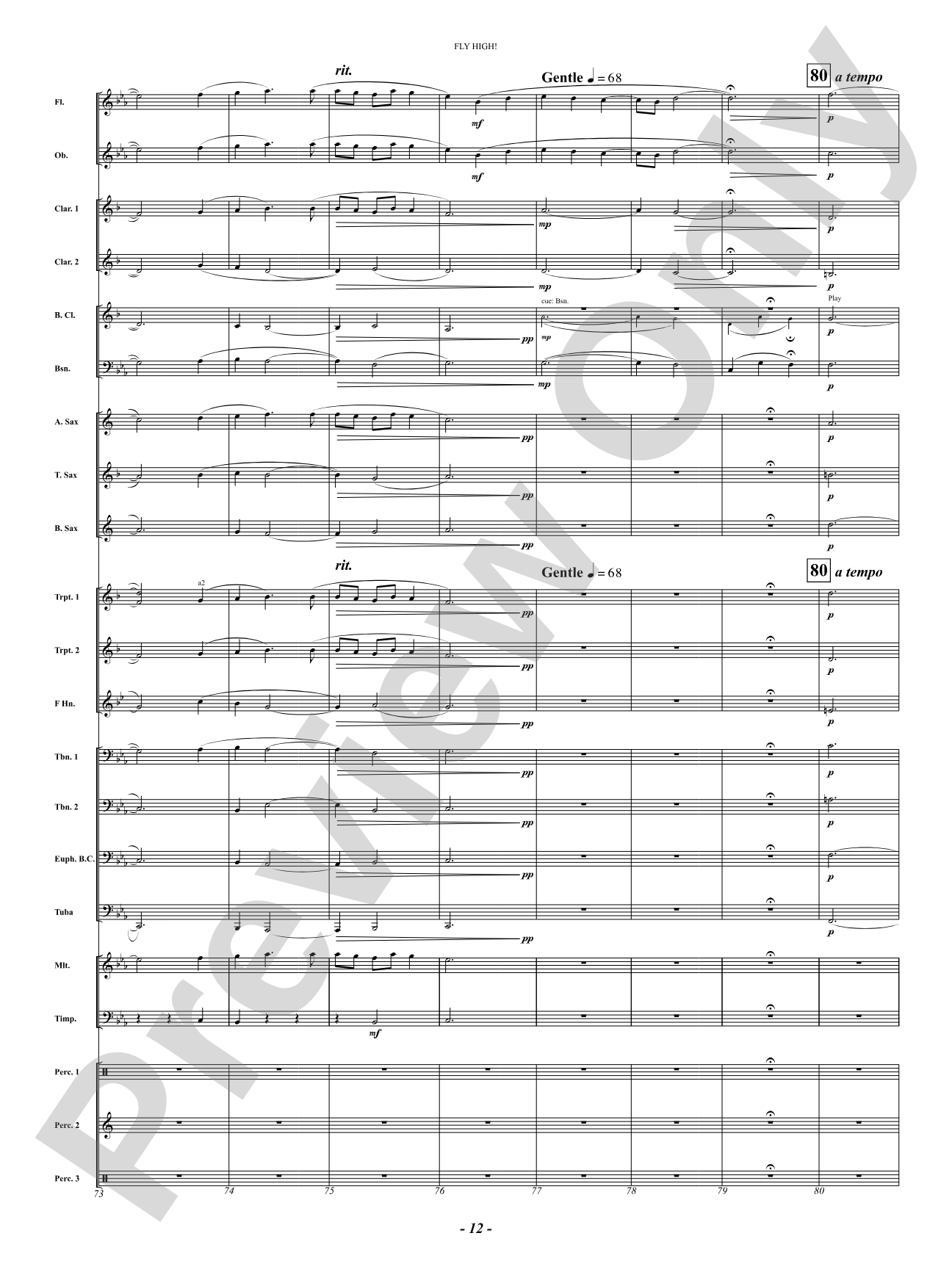 Fly High!: Concert Band Conductor Score & Parts