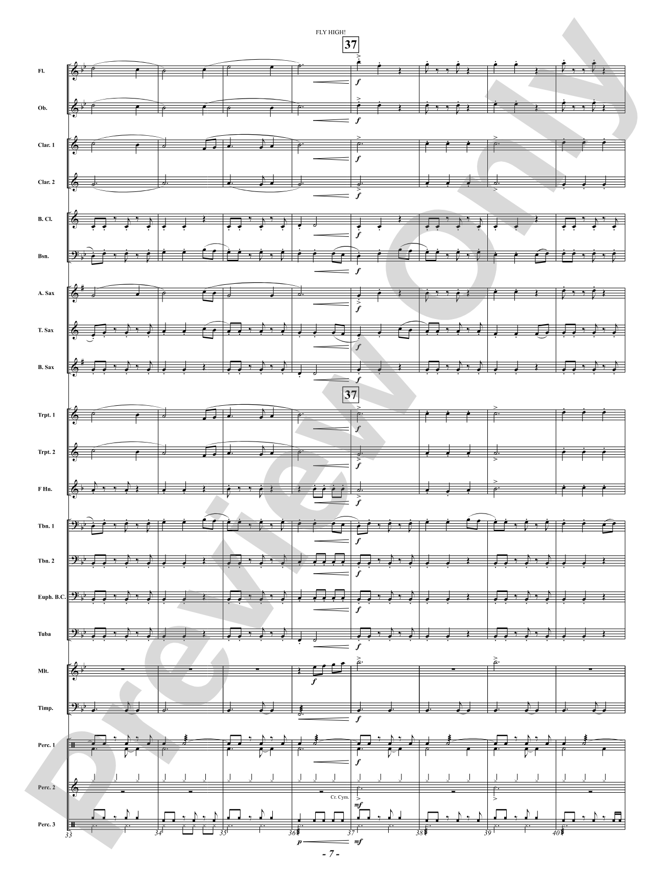 Fly High!: Concert Band Conductor Score & Parts