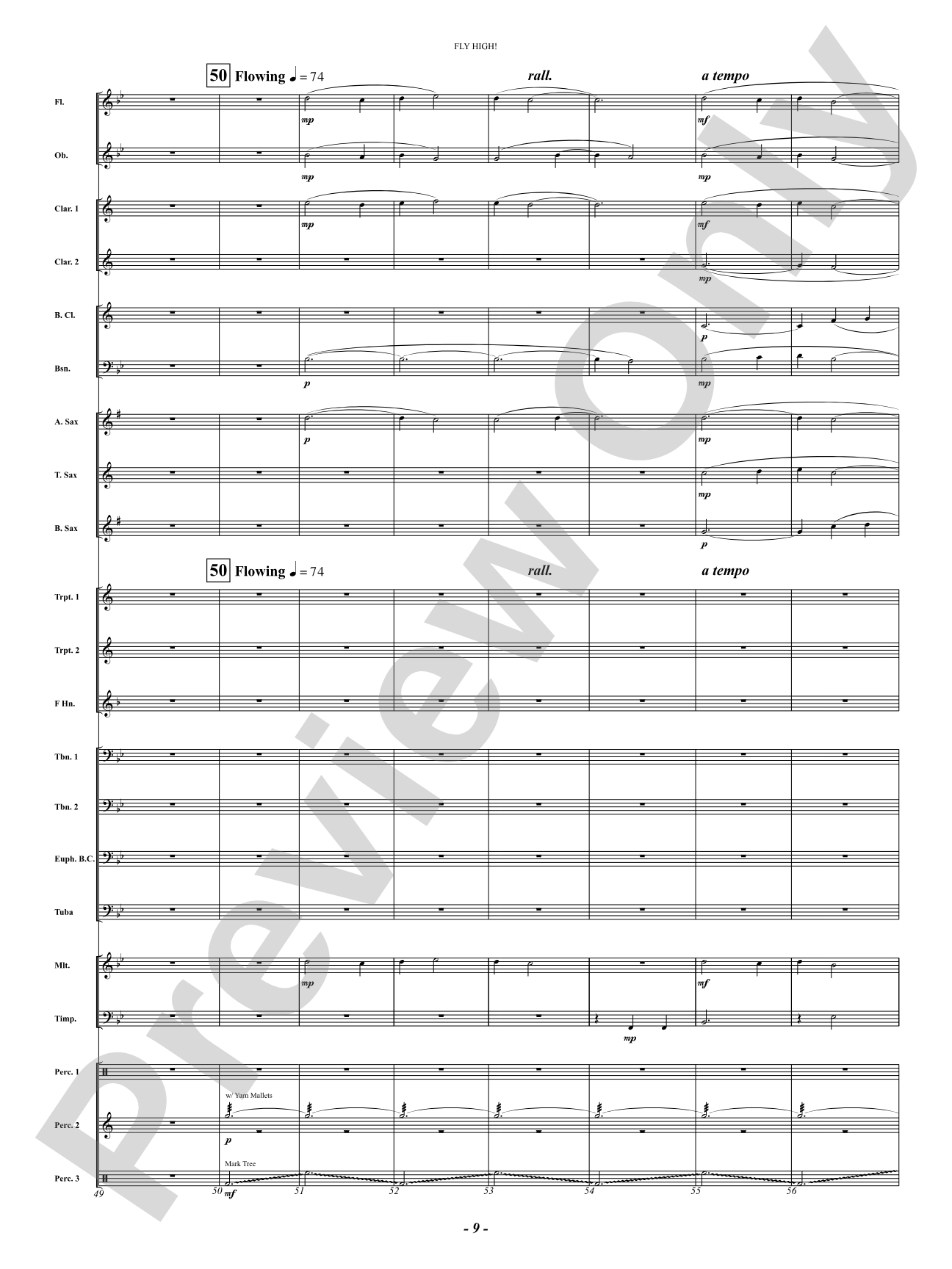 Fly High!: Concert Band Conductor Score & Parts