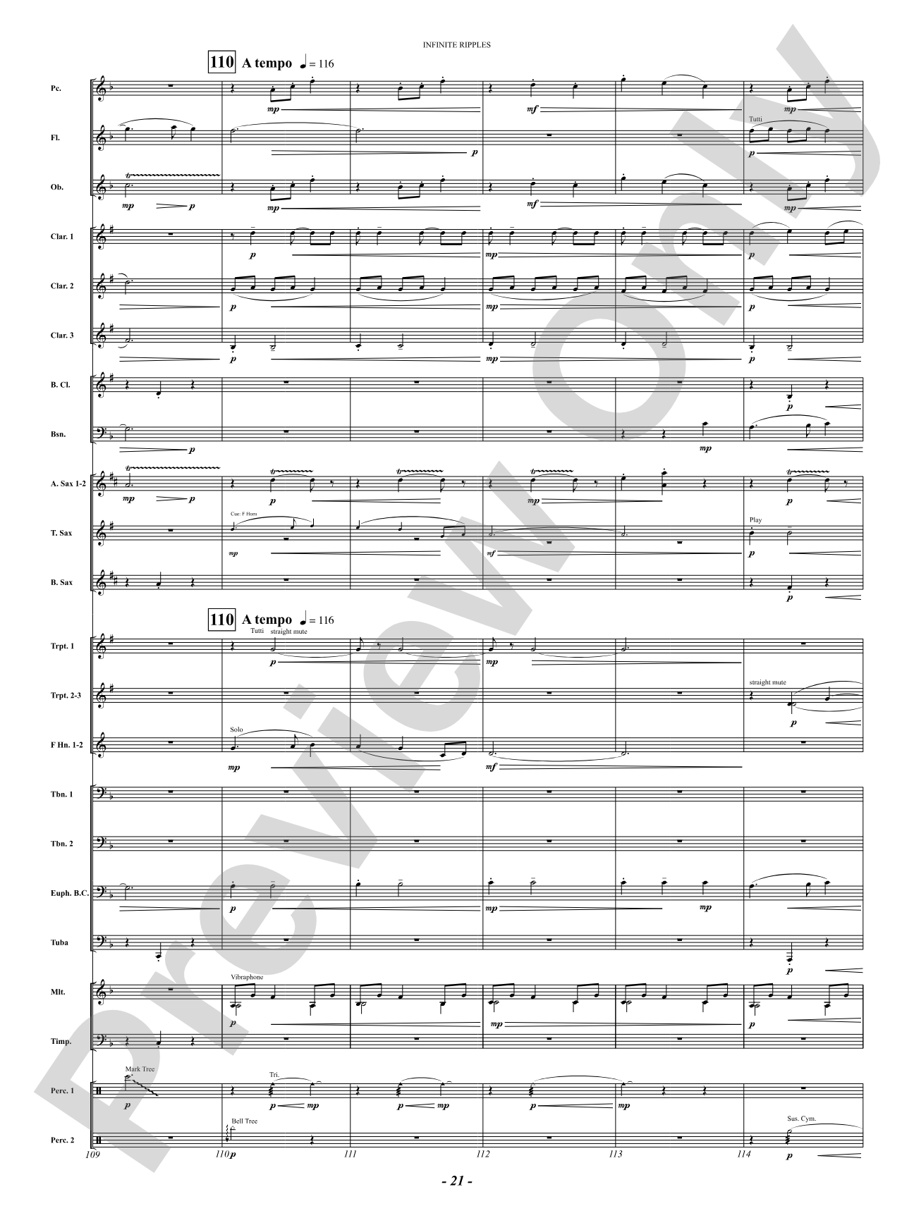 Infinite Ripples: Concert Band Conductor Score & Parts