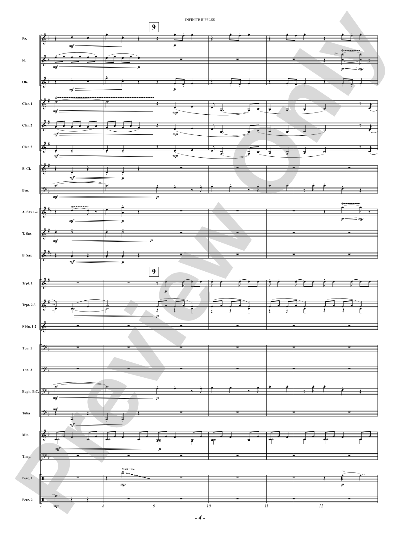 Infinite Ripples: Concert Band Conductor Score & Parts