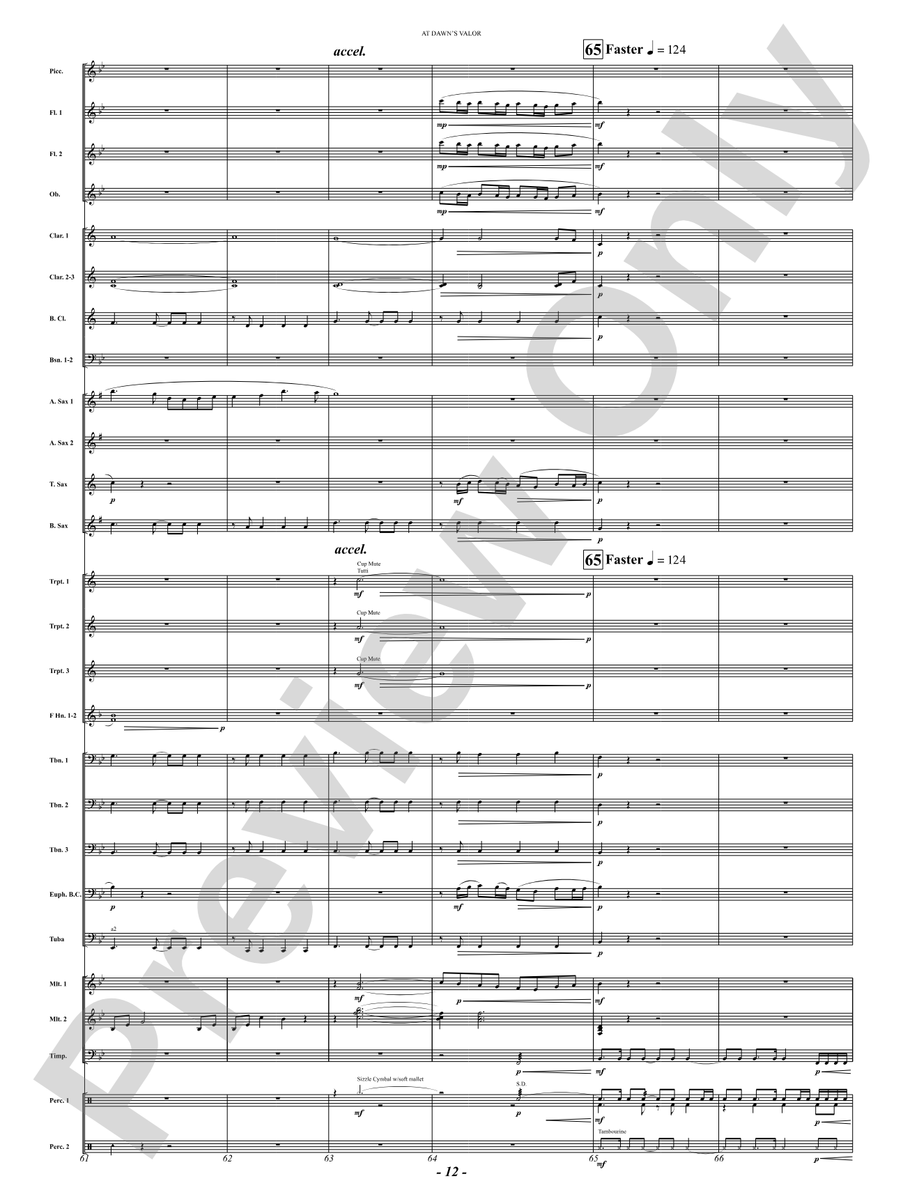 At Dawn's Valor (A Tribute to Courage and Sacrifice): Concert Band Conductor Score & Parts
