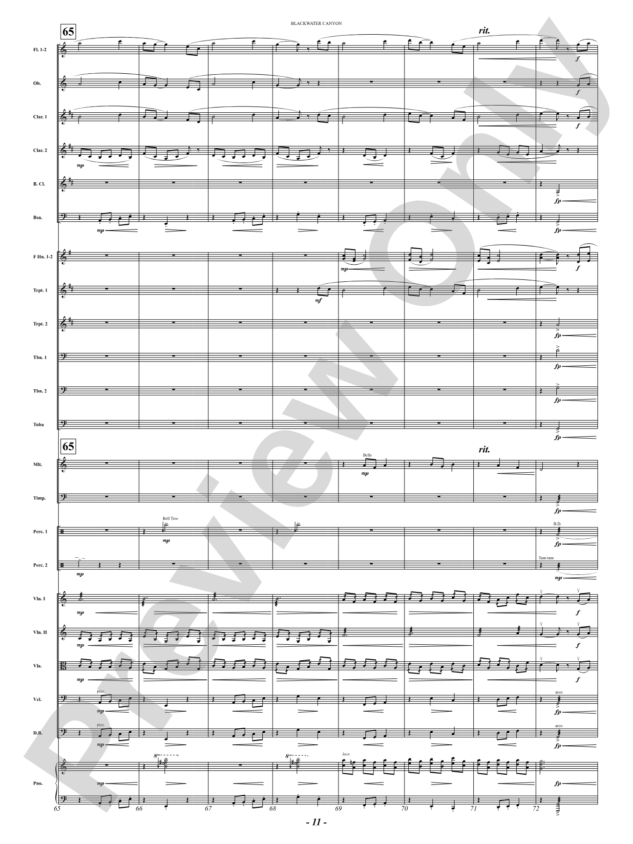 Blackwater Canyon: Full Orchestra Conductor Score & Parts