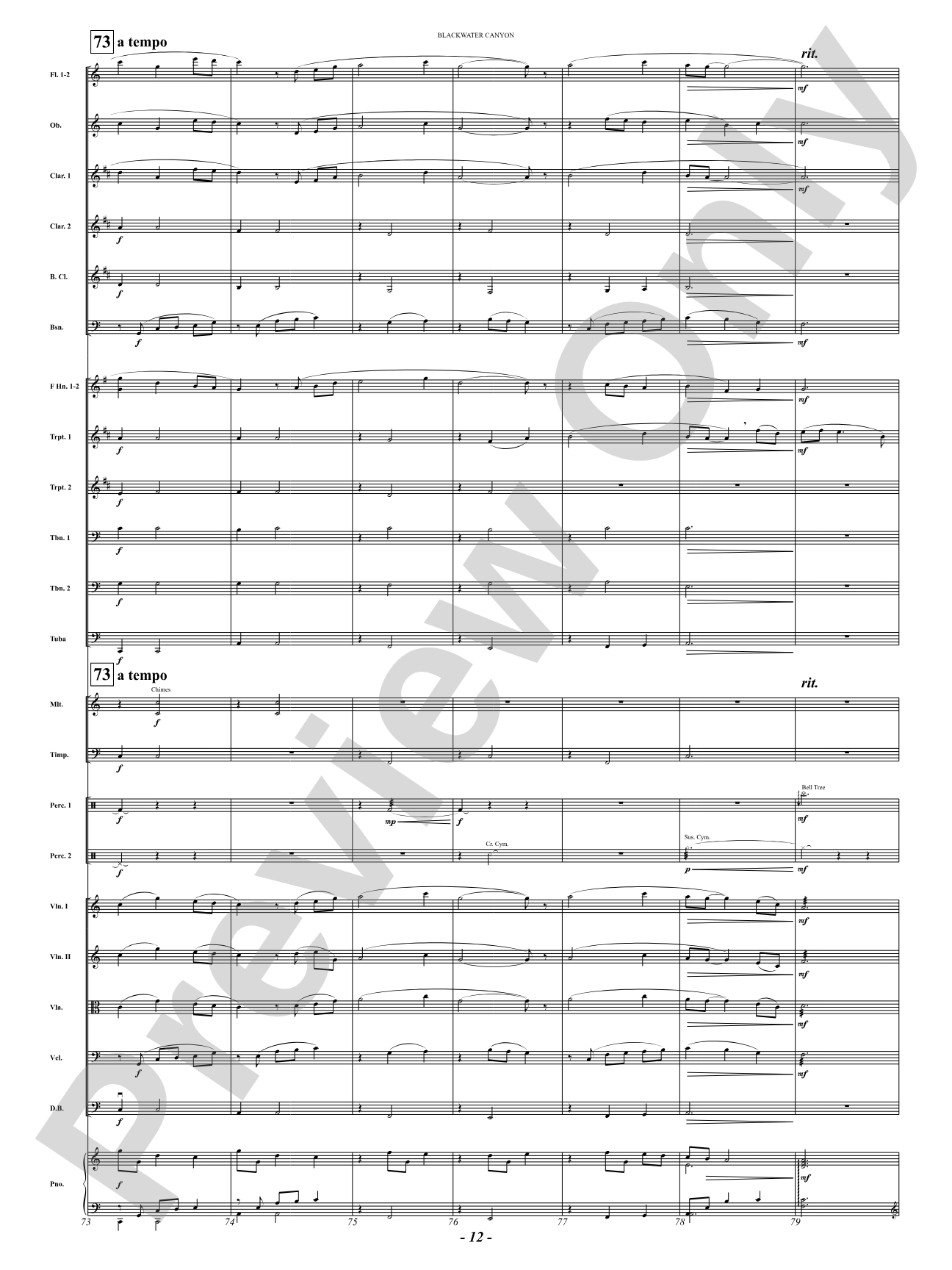 Blackwater Canyon: Full Orchestra Conductor Score & Parts