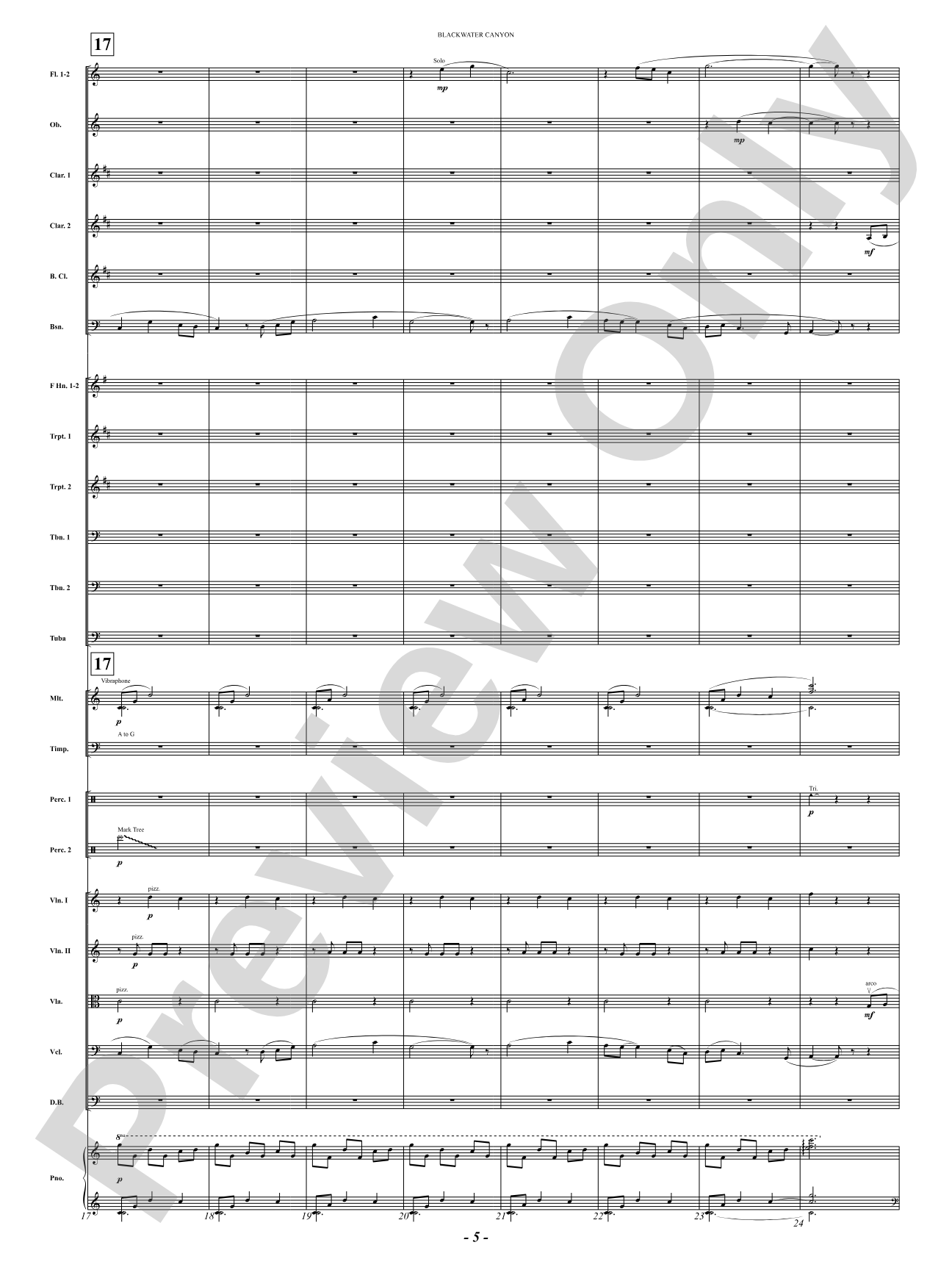 Blackwater Canyon: Full Orchestra Conductor Score & Parts