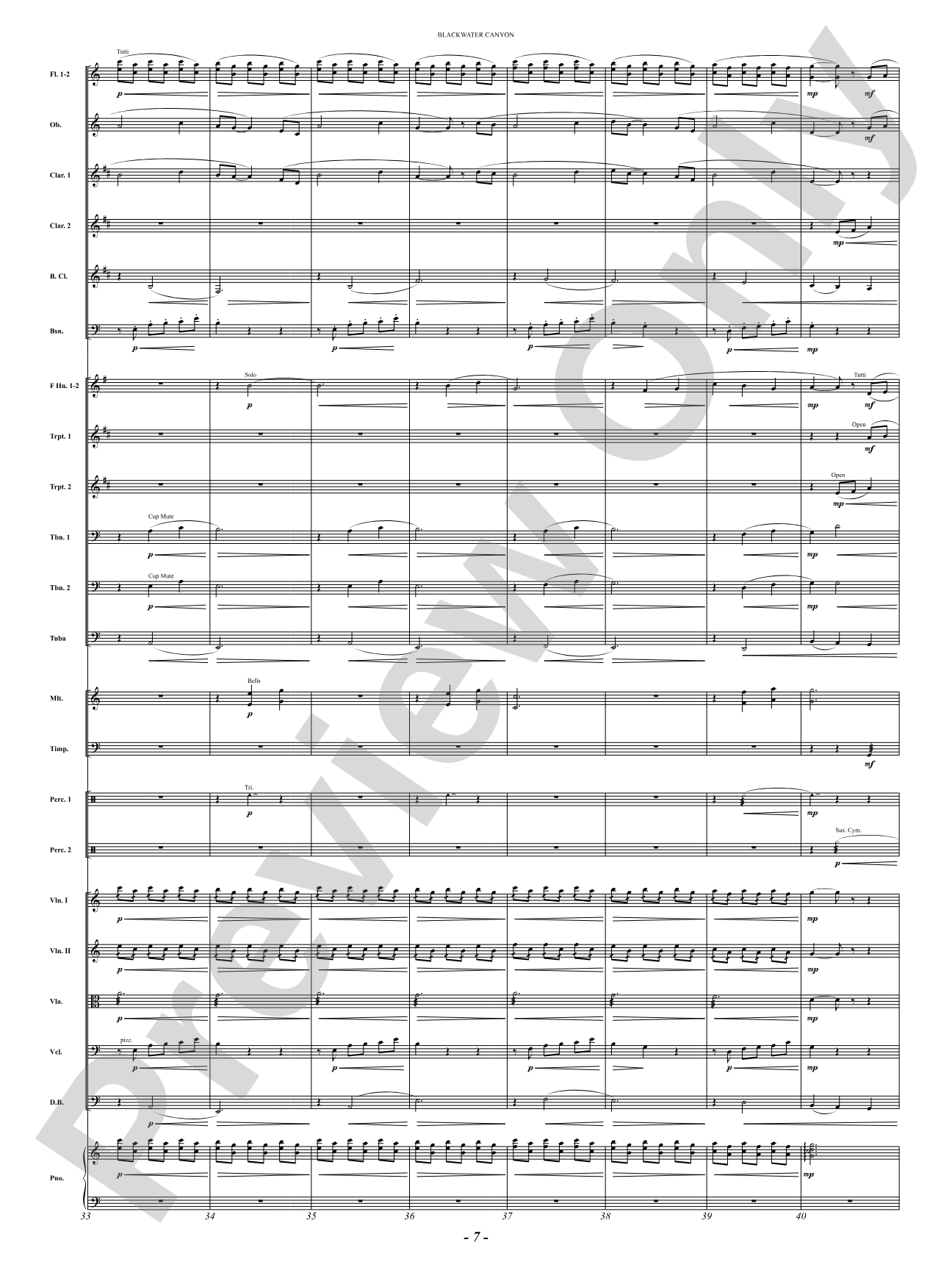 Blackwater Canyon: Full Orchestra Conductor Score & Parts